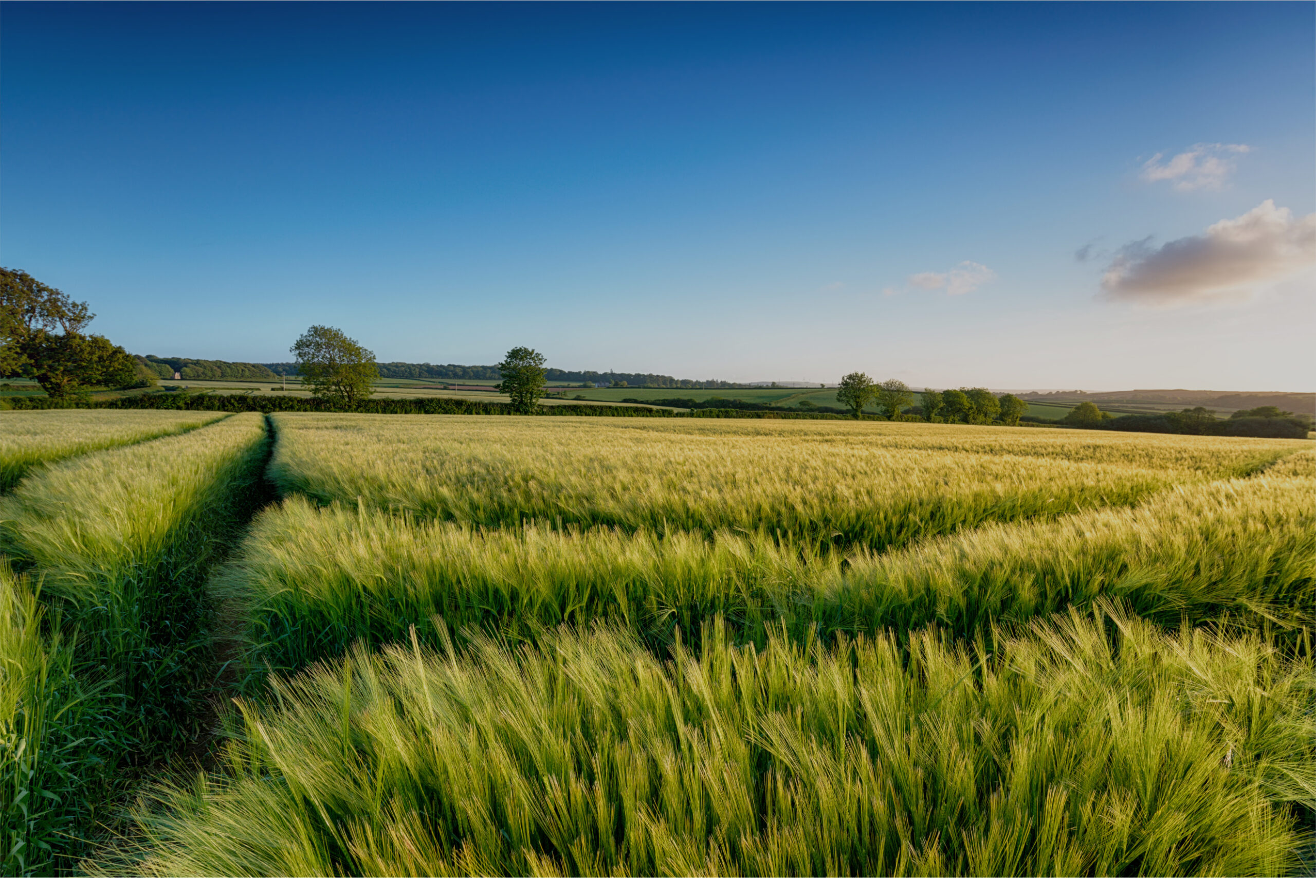 North Dakota | Modern Ag Alliance